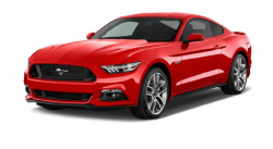 Ворсовые коврики в салон  Ford Mustang VI (S550) (2015 - ...)